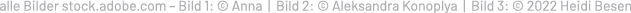 Polygon