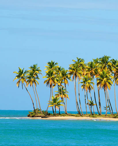 Palmenreihe auf schmaler Landzunge vor t rkisblauem Meer und blauem Himmel.