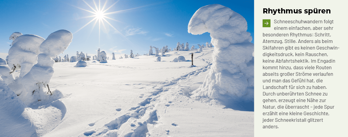 Rhythmus sp ren ￼Schneeschuhwandern folgt einem einfachen, aber sehr besonderen Rhythmus: Schritt, Atemzug, Stille. A...