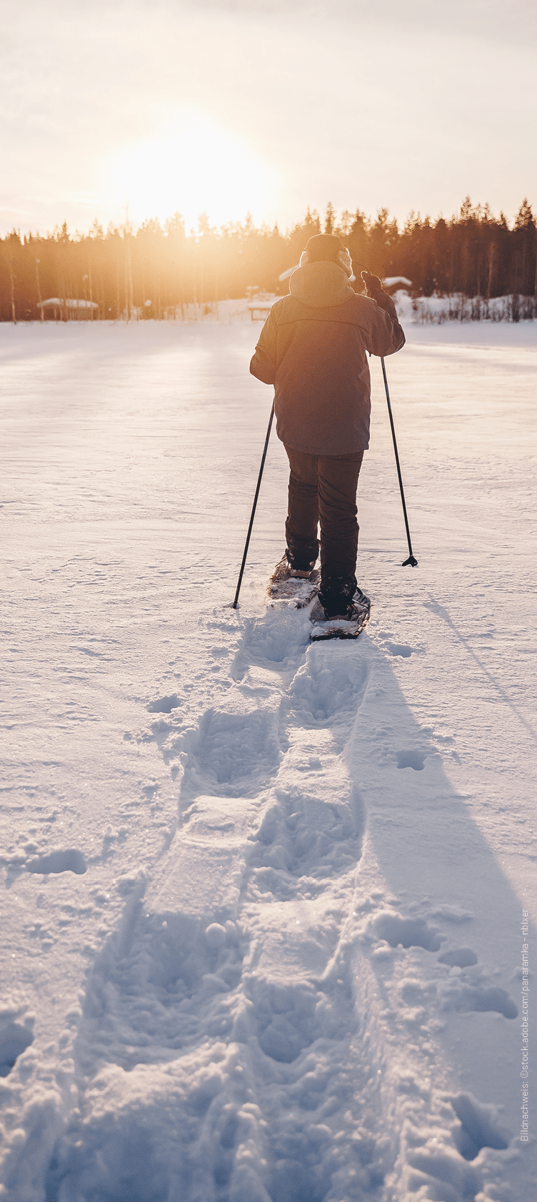 Bildnachweis: ©stock.adobe.com/panaramka nblxe