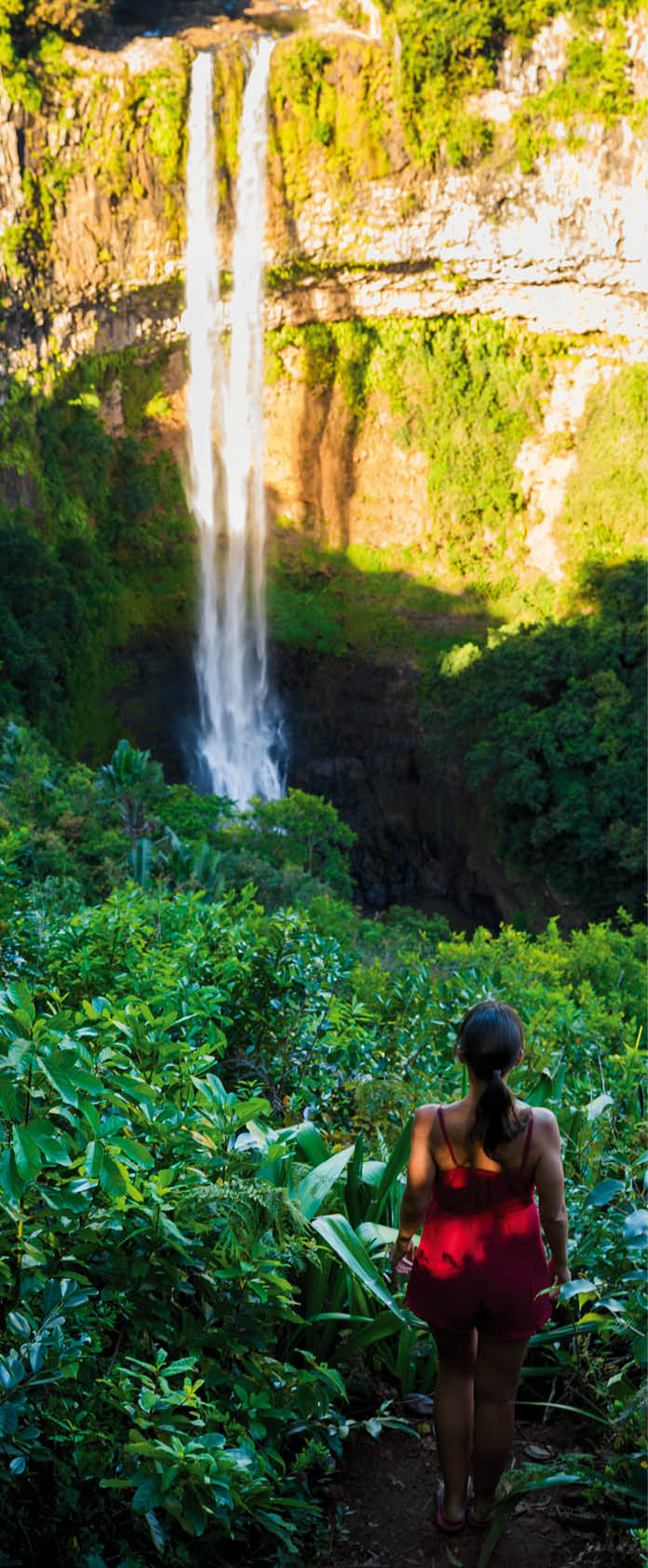 Aerial view of Chamarel Waterfall in tropical jungle of Mauritius