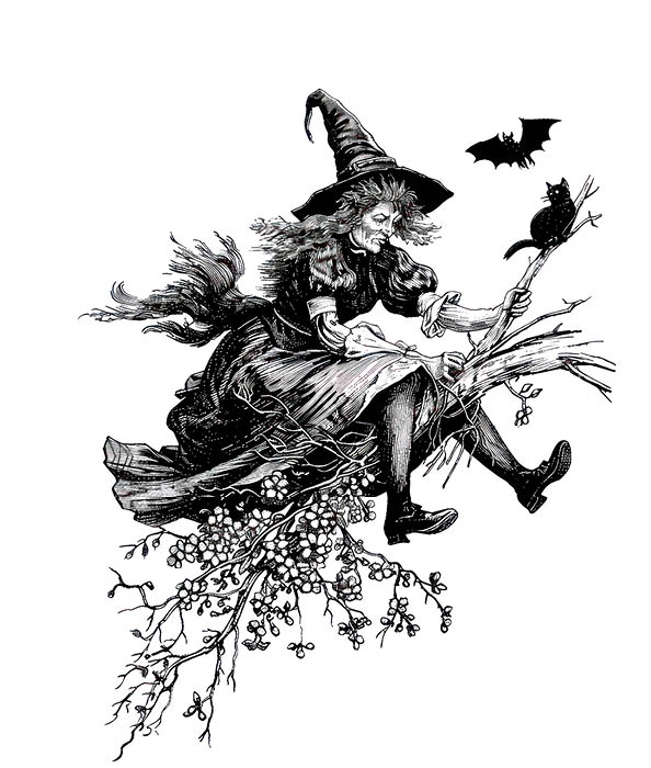 Vintage witch flying broomstick illustration