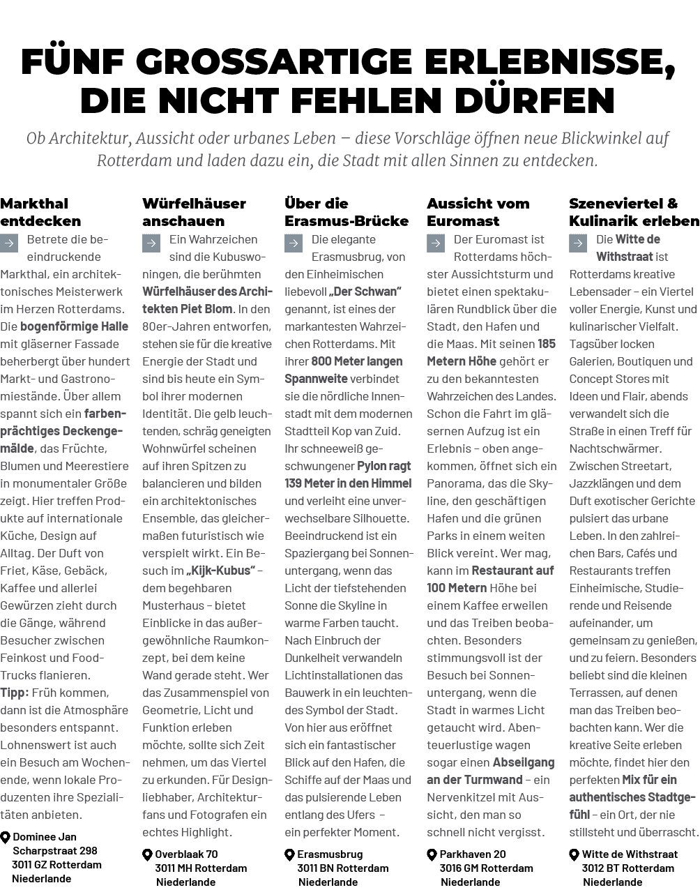  ber die Erasmus Br cke ￼Die elegante Erasmusbrug, von den Einheimischen liebevoll „Der Schwan“ genannt, ist eines de...