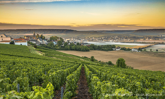 © Hesam Wide Shot stock.adobe.co