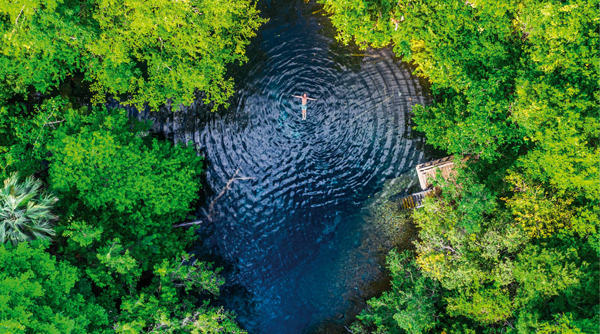 RMP19 Reserva Ecol gica Ojos Ind genas. Punta Cana