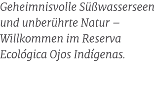 Geheimnisvolle S wasserseen und unber hrte Natur – Willkommen im Reserva Ecol gica Ojos Ind genas. 