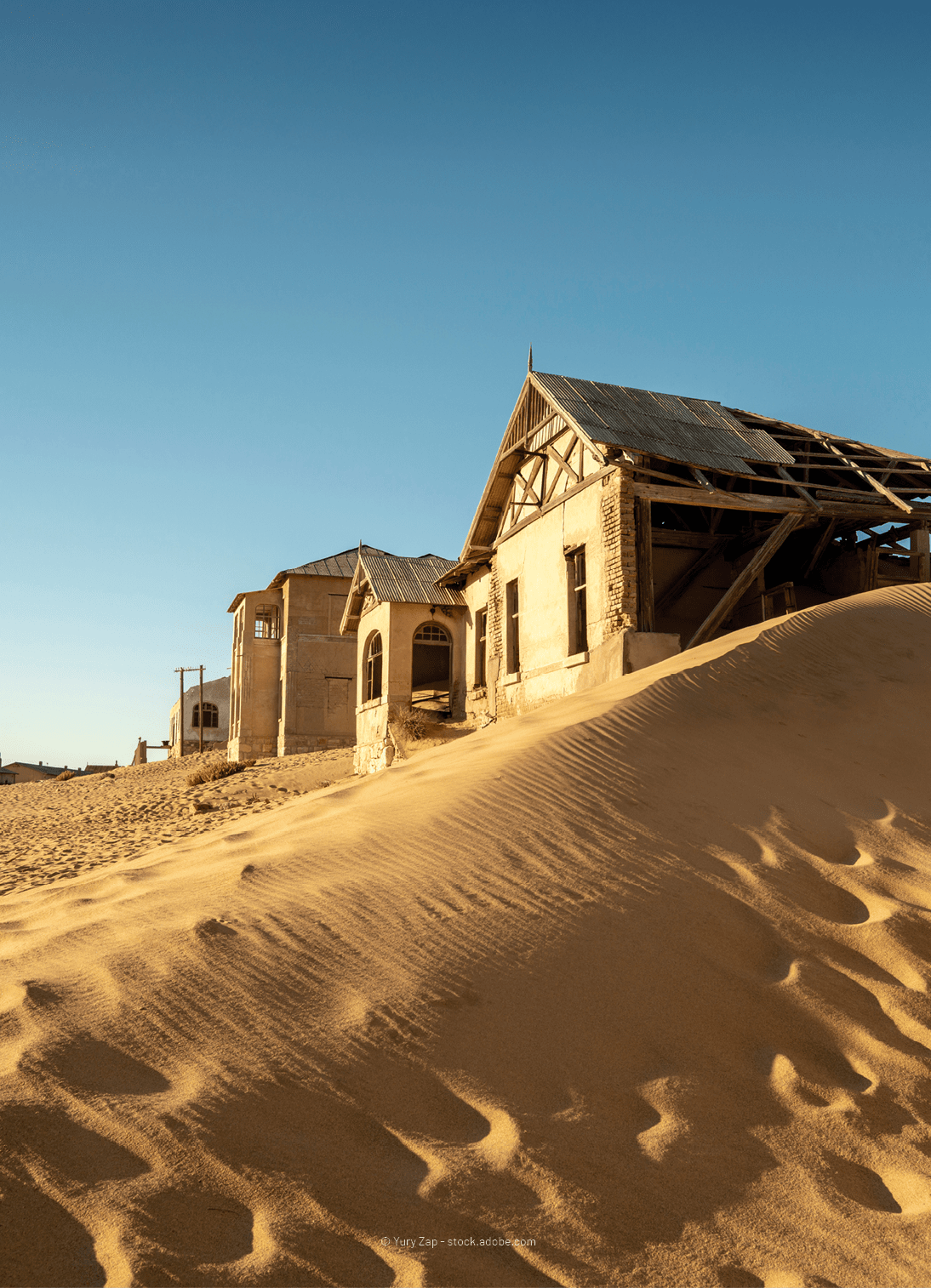 © Yury Zap stock.adobe.co