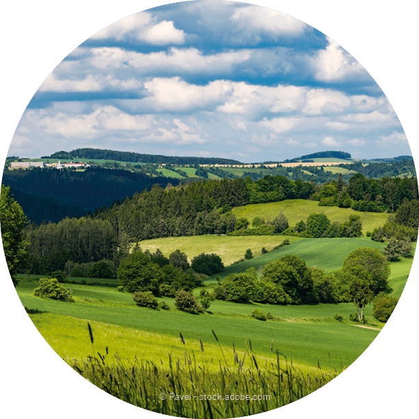 © Pavel stock.adobe.co