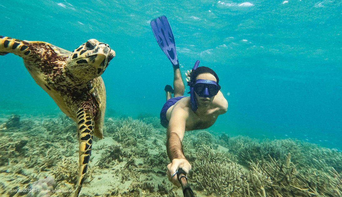 © loulou372011 stock.adobe.co