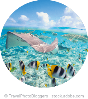 © TravelPhotoBloggers stock.adobe.co